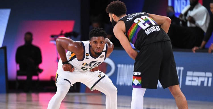 这一传统的 这一传统的